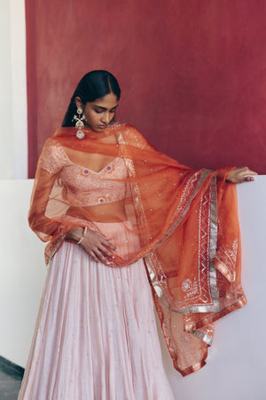 Blush Pink Lehenga Set