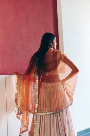 Blush Pink Lehenga Set