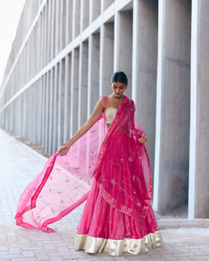 Rani Pink Lehenga Set