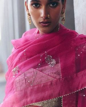 Rani Pink Lehenga Set