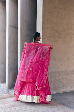 Rani Pink Lehenga Set