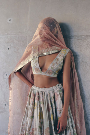 Silver Tissue Lehenga Set