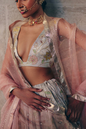 Silver Tissue Lehenga Set