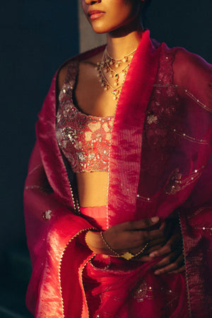 Rani Pink Saree