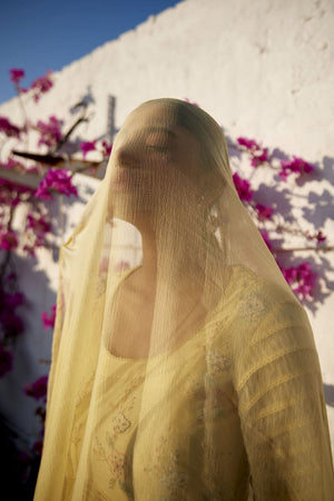 Lemon Yellow Chanderi & organza striped silk anarkali set