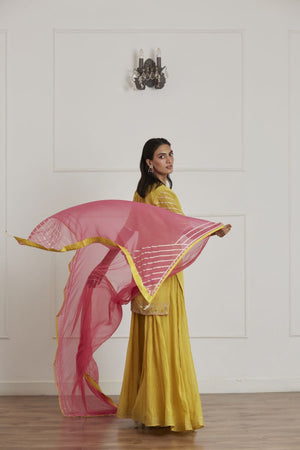 Mustard Yellow Sharara Set