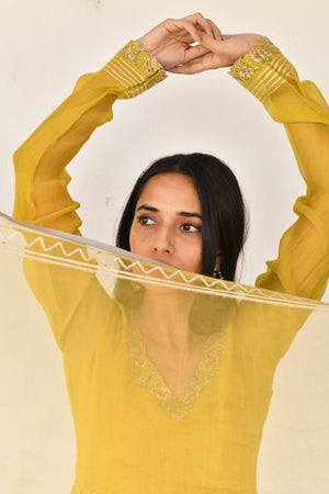 Primrose Yellow Chanderi Anarkali Set