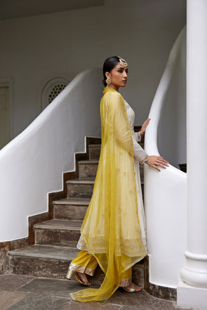 Ivory Hand Embroidered Anarkali Set
