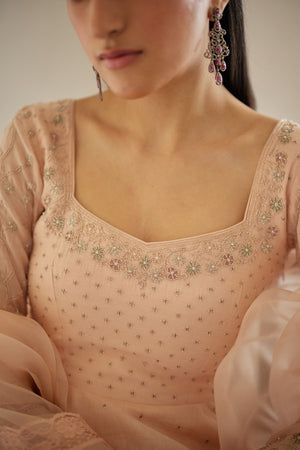 Pale Peach Chanderi Anarkali Set