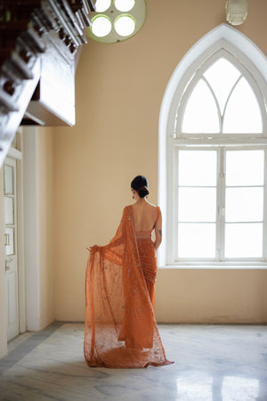 Rust Saree & Ombre Silk Blouse Set