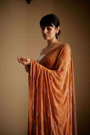 Rust Saree & Ombre Silk Blouse Set